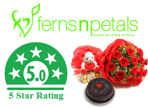 Ferns N Petals - Rating - Reviews - Flower Delivery Online - Cheapest online shopping sites in India
