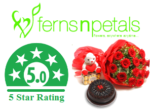 Ferns N Petals - Rating - Reviews - Flower Delivery Online - Cheapest online shopping website in India