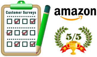 Amazon.in - Rating - Reviews - Worlds Top 10 Online Shopping Sites in India