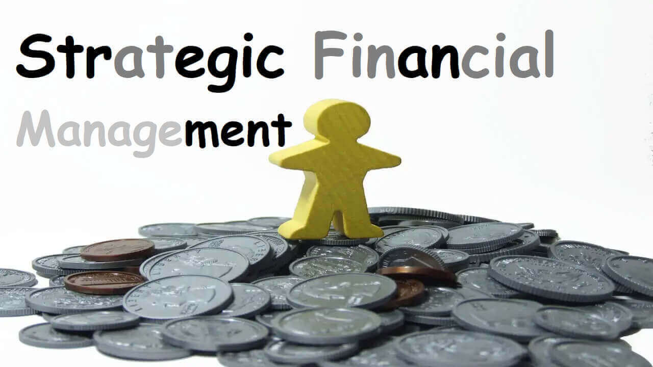Nature of Strategic Financial Management Notes in Points-Wikipedia of Finance