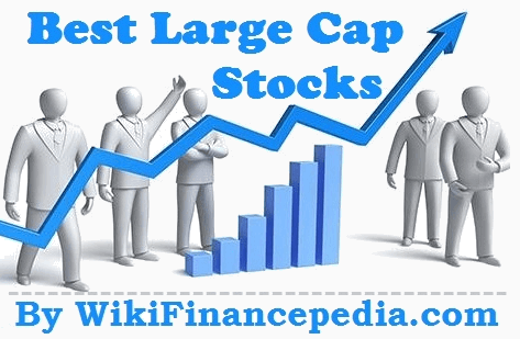 Top 10 Best Large Cap Stocks for Long Term Investment India - Top 100 Large Cap Stocks to Buy in India 2023 - Wikipedia of Finance