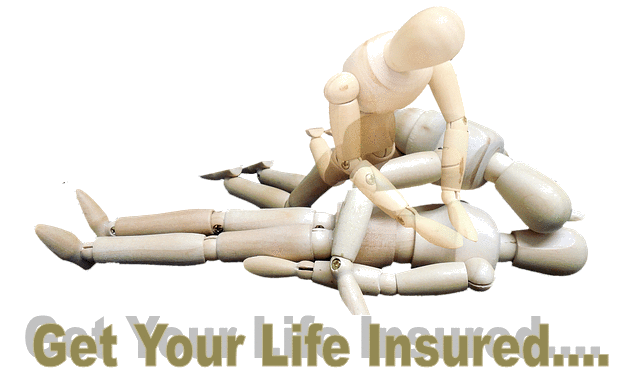 Wikipedia of Finance - Wiki-Financepedia - e-learning course on Insurance Wikipedia Chapter - Types of Life Insurance policies